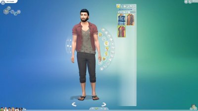 Sims 4 Wash