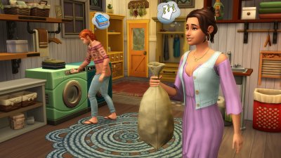 Sims 4 Wash