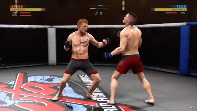 UFC Undisputed 3 