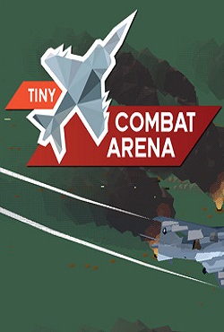 Tiny Combat Arena